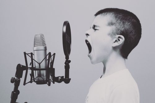 Audio Streaming Software