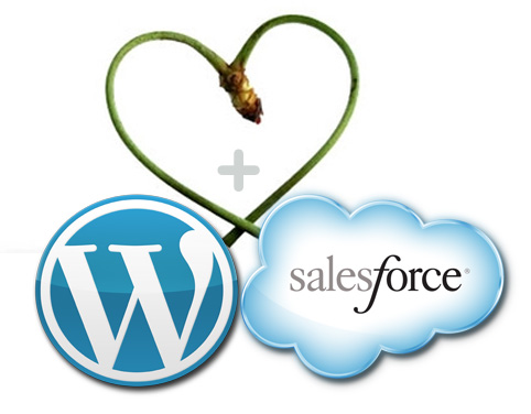 WordPress Salesforce Integration Portland
